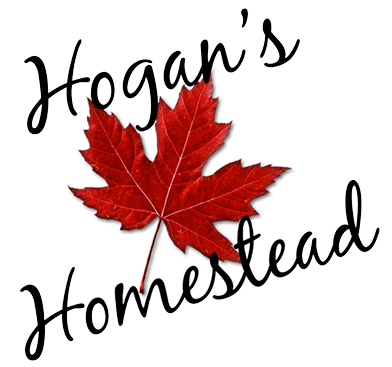 Hogan's Homestead logo with red maple leaf in middle 