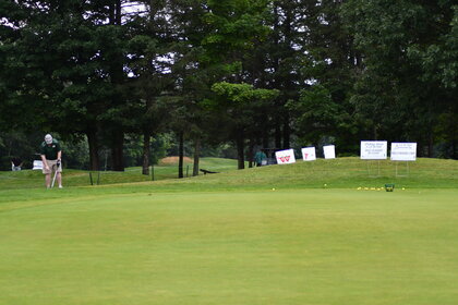 194_dsc_0787_28_08_2024_12_00_22.jpg