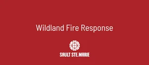 Wildland fire response